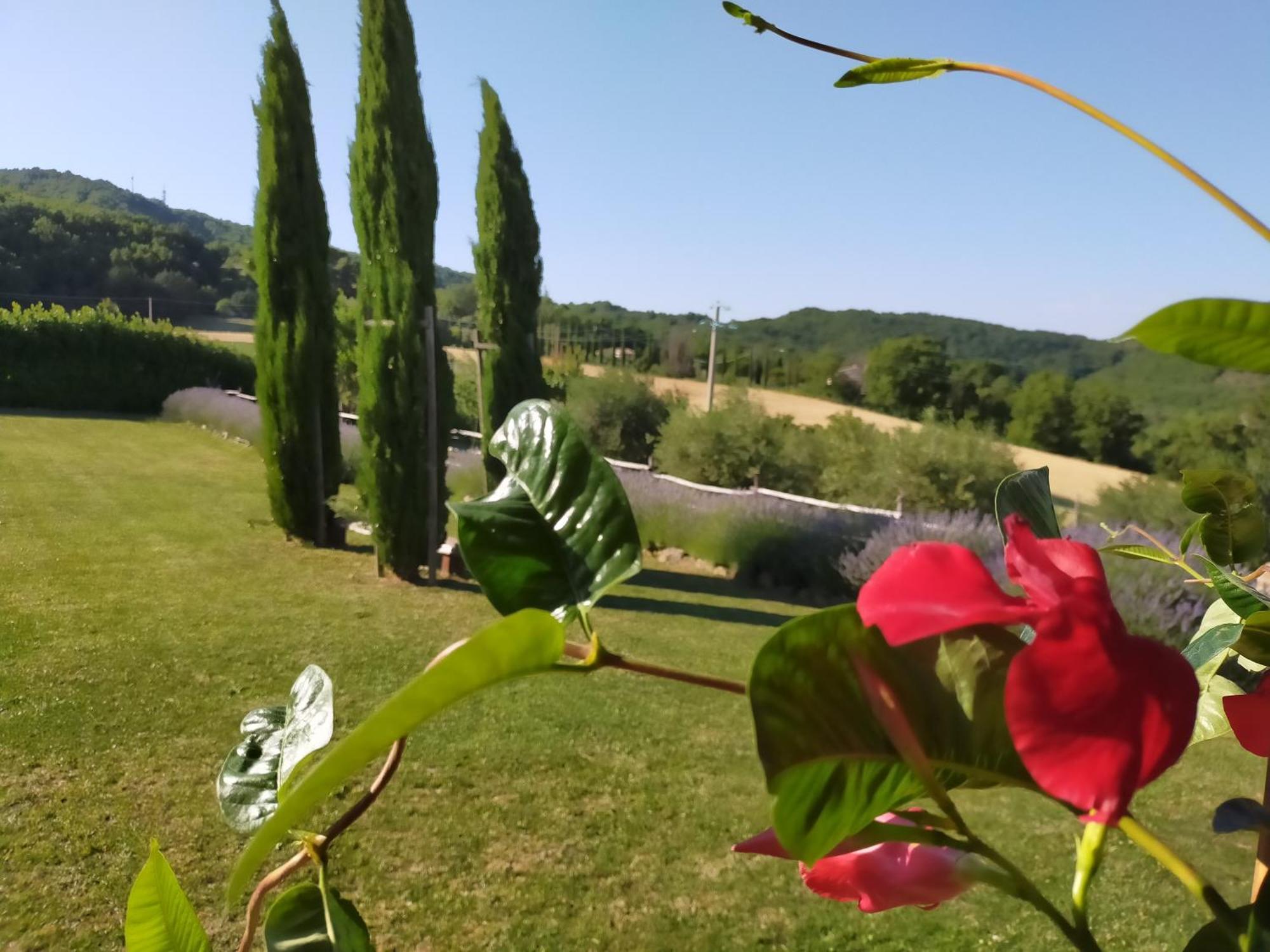Suite Assisi Exteriör bild